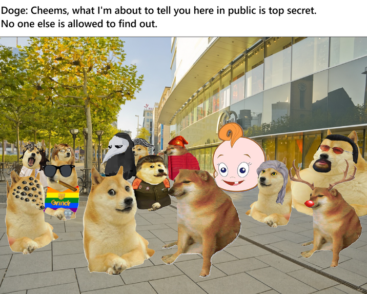 Doge: Cheems, what I'm about to tell you here in public is top secret. No one else is allowed to find out. Grindr
