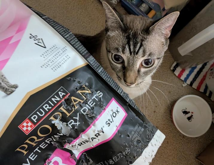 fifa VETERIN USIVEMENT EXCLUSIV PURINA PROPLAN VETERAN RY DIETS RINARY St/Ox' ET 6312,72 FELINE FORMULA 31731 31 ENESS