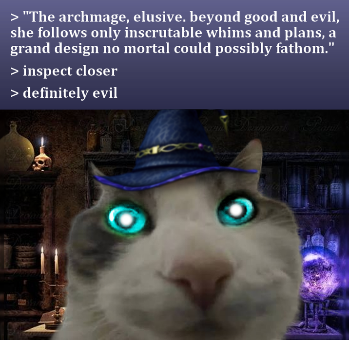 > "The archmage, elusive. beyond good and evil, she follows only inscrutable whims and plans, a grand design no mortal could possibly fathom." > inspect closer > definitely evil