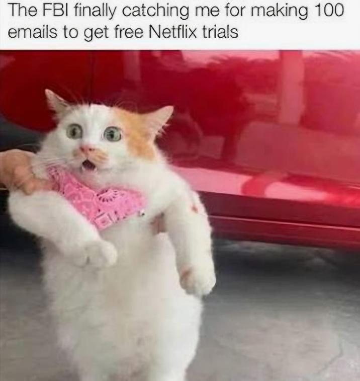 The FBI finally catching me for making 100 emails to get free Netflix trials