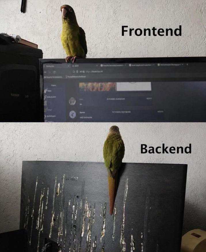 WEZEER 10 2100 STAPEN Frontend Backend