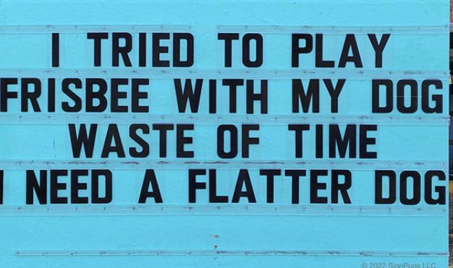 I TRIED TO PLAY FRISBEE WITH MY DOG WASTE OF TIME I NEED A FLATTER DOG 2022 SignPuns LLC