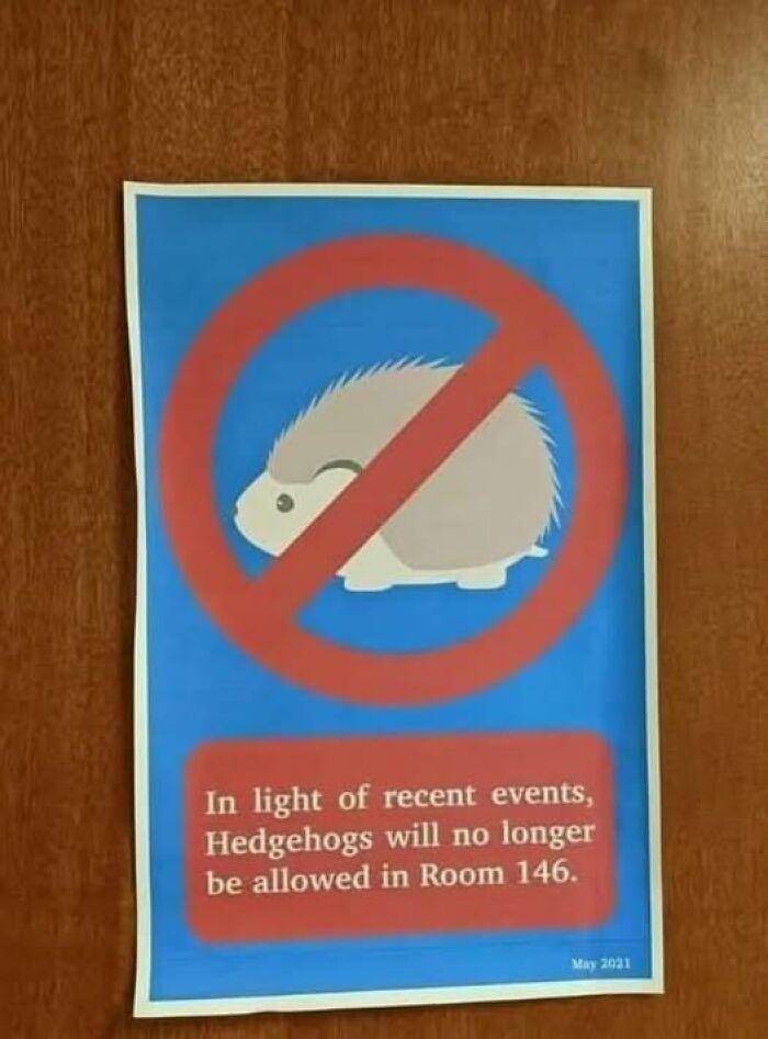 In light of recent events, Hedgehogs will no longer be allowed in Room 146. May 2021