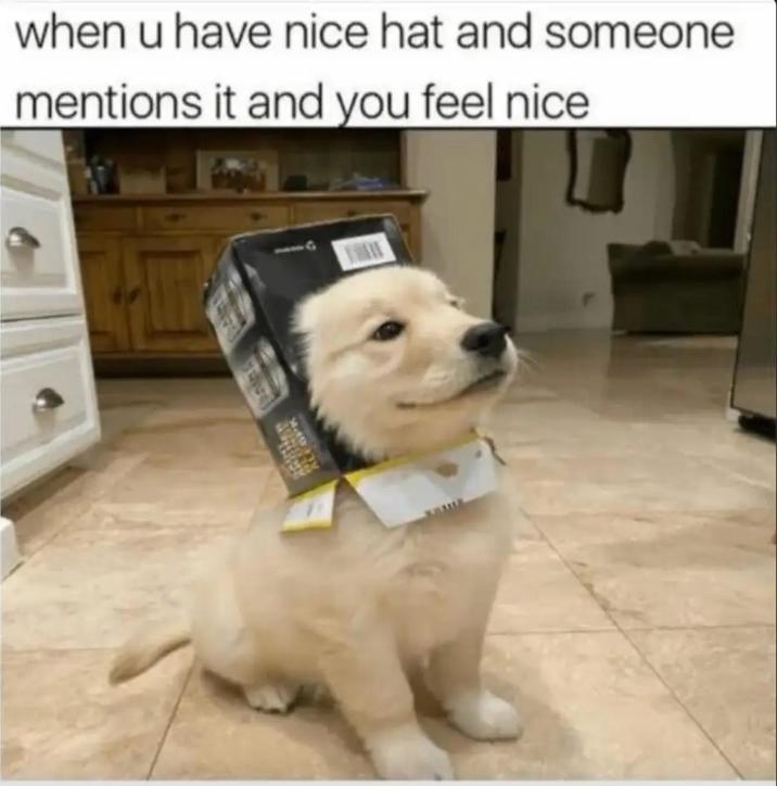 when u have nice hat and someone mentions it and you feel nice