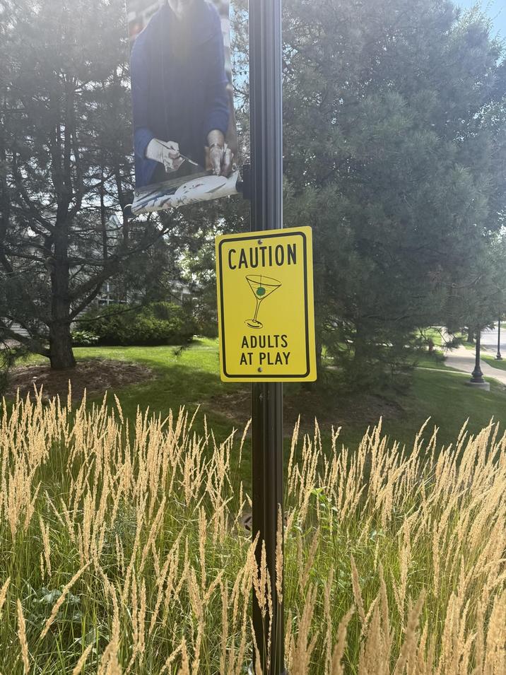 CAUTION ADULTS AT PLAY