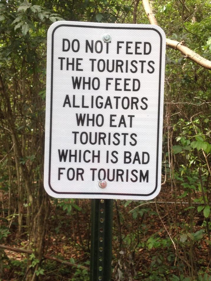 DO NOT FEED THE TOURISTS WHO FEED ALLIGATORS WHO EAT TOURISTS WHICH IS BAD FOR TOURISM