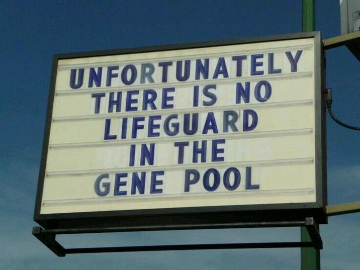 UNFORTUNATELY THERE IS NO LIFEGUARD IN THE GENE POOL