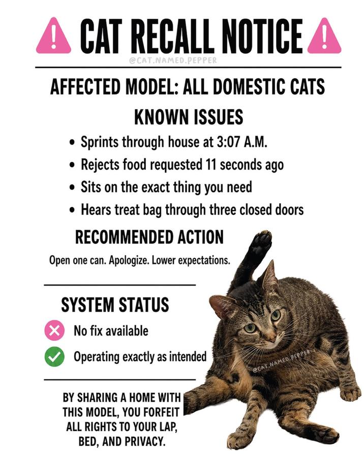 A CAT CAT RECALL NOTICE A @CAT.NAMED.PEPPER AFFECTED MODEL: ALL DOMESTIC CATS . KNOWN ISSUES Sprints through house at 3:07 A.M. Rejects food requested 11 seconds ago • Sits on the exact thing you need • Hears treat bag through three closed doors RECOMMENDED ACTION Open one can. Apologize. Lower expectations. SYSTEM STATUS ✓ No fix available Operating exactly as intended @CAT.NAMED PEPPER BY SHARING A HOME WITH THIS MODEL, YOU FORFEIT ALL RIGHTS TO YOUR LAP, BED, AND PRIVACY.