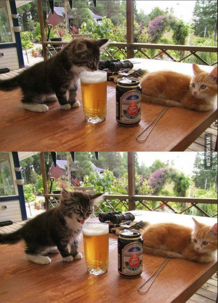VIA 9GAG.COM