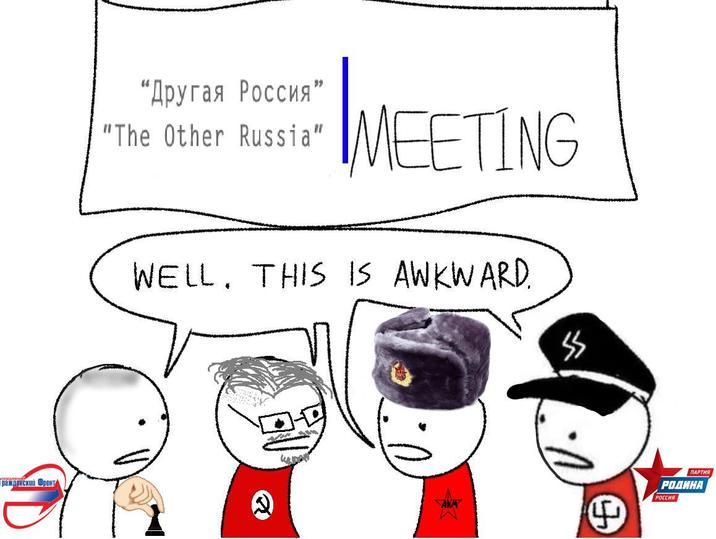 - ражданский Фронт "Другая Россия" "The Other Russia" MEETING WELL. THIS IS AWKWARD. ПАРТИЯ РОДИНА РОССИЯ AKAY