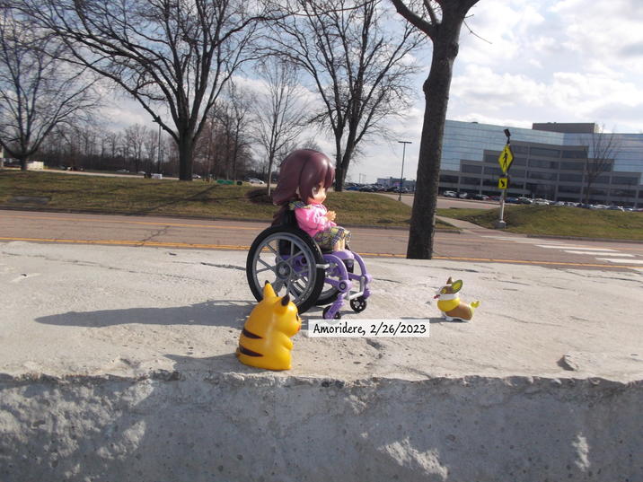 “Yapper” (as they’re called) is Nozomi’s support Pokémon. With her being limited in some regards, Yapper is a big help to her and is never far away. 

(This pic is an old one, however, I don't think I've ever seen, in the anime, where Pokémon do have service animal type roles)