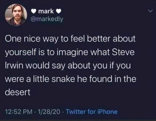 mark @markedly One nice way to feel better about yourself is to imagine what Steve Irwin would say about you if you were a little snake he found in the desert 12:52 PM 1/28/20 Twitter for iPhone