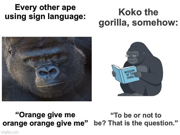 Every other ape using sign language: Koko the gorilla, somehow: WISDOM OF THE JUNGLE "Orange give me orange orange give me" imgflip.com "To be or not to be? That is the question."