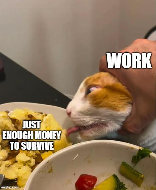 JUST ENOUGH MONEY TO SURVIVE imgflip.com WORK