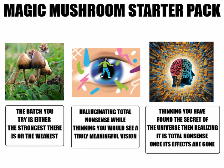 MAGIC MUSHROOM STARTER PACK THE BATCH YOU TRY IS EITHER THE STRONGEST THERE IS OR THE WEAKEST HALLUCINATING TOTAL NONSENSE WHILE THINKING YOU WOULD SEE A TRULY MEANINGFUL VISION THINKING YOU HAVE FOUND THE SECRET OF THE UNIVERSE THEN REALIZING IT IS TOTAL NONSENSE ONCE ITS EFFECTS ARE GONE