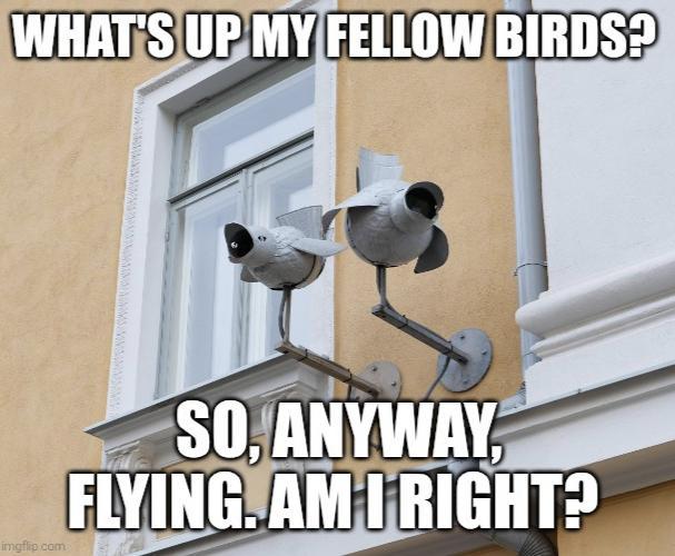 WHAT'S UP MY FELLOW BIRDS? wwwwwwwwwwwww imgflip.com SO, ANYWAY, FLYING. AM I RIGHT?