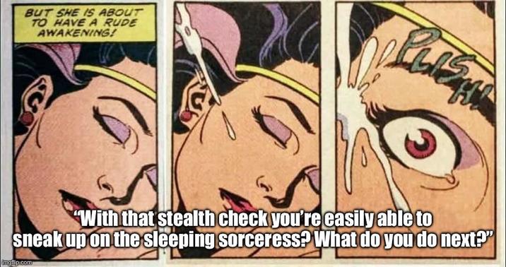 BUT SHE IS ABOUT TO HAVE A RUDE AWAKENING! "With that stealth check you're easily able to sneak up on the sleeping sorceress? What do you do next?" imgflip.com