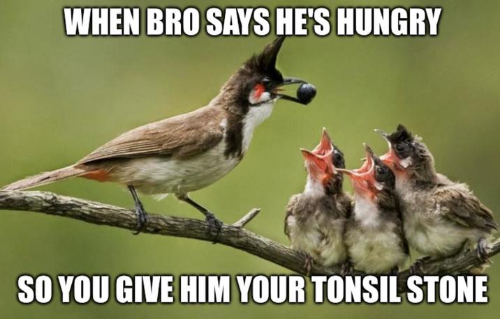 WHEN BRO SAYS HE'S HUNGRY SO YOU GIVE HIM YOUR TONSIL STONE