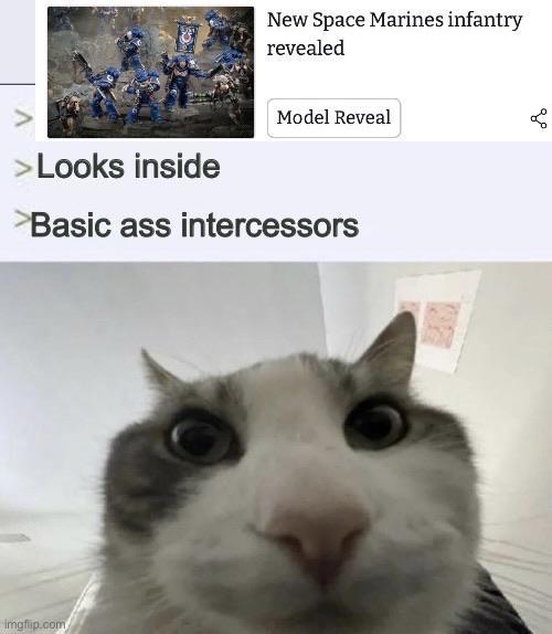 New Space Marines infantry revealed >Looks inside Model Reveal >Basic ass intercessors imgflip.com go
