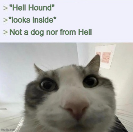 > "Hell Hound" > *looks inside* > Not a dog nor from Hell imgflip.com