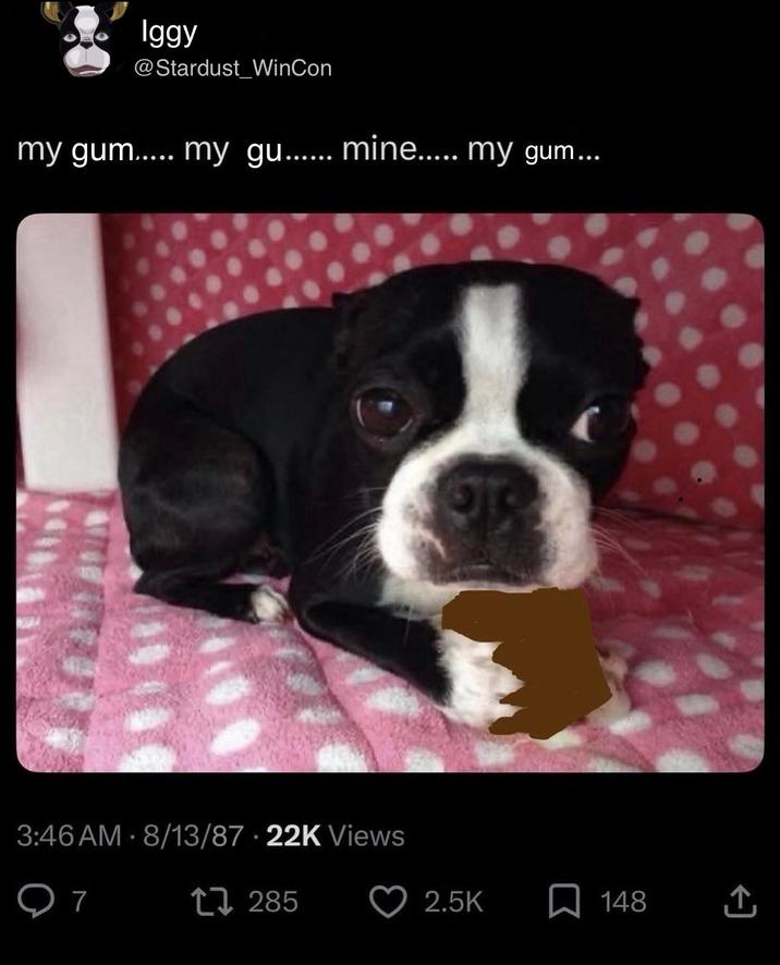 Iggy @Stardust_WinCon my gum..... my gu...... mine..... my gum... 3:46 AM - 8/13/87 22K Views Q7 17285 2.5K ☐ 148 ↑