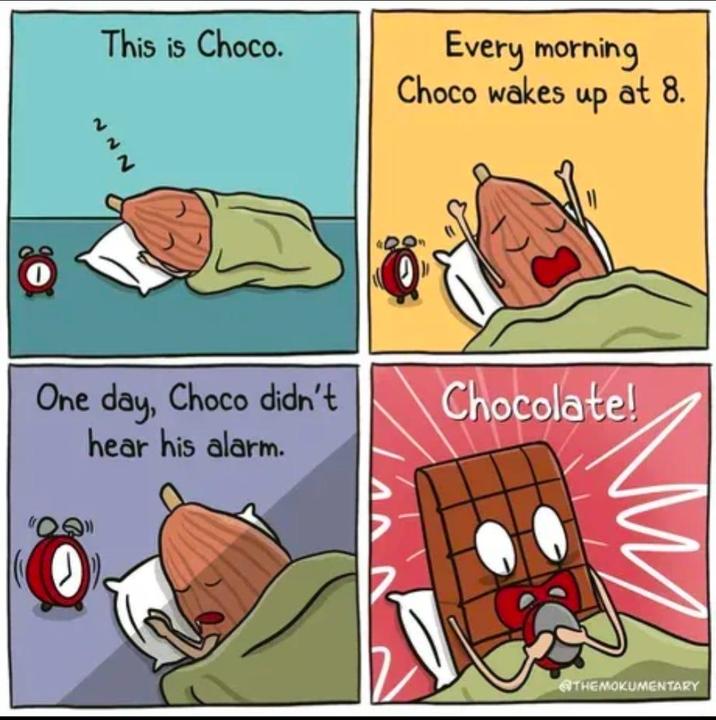 This is Choco. Every morning Choco wakes up at 8. One day, Choco didn't hear his alarm. Chocolate! THEMOKUMENTARY