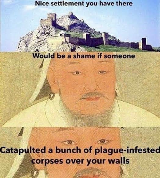 Nice settlement you have there Would be a shame if someone Catapulted a bunch of plague-infested corpses over your walls