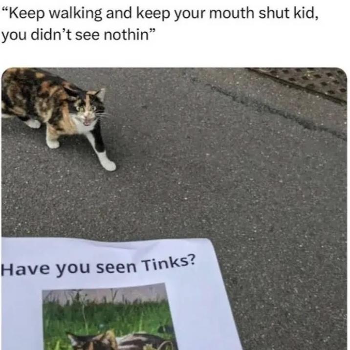 "Keep walking and keep your mouth shut kid, you didn't see nothin" Have you seen Tinks?