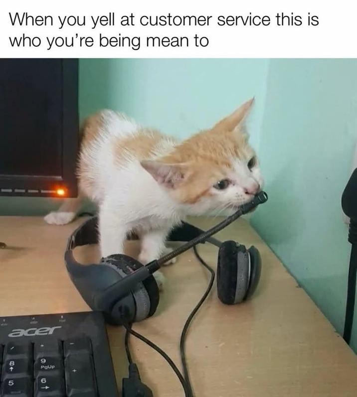 When you yell at customer service this is who you're being mean to acer 8+ 9 PQUp 5 6