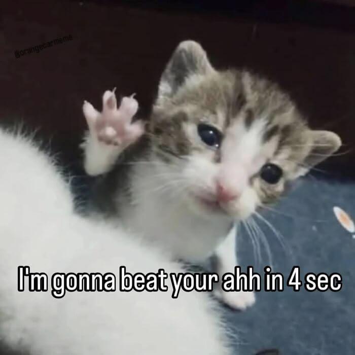 Borangecarmeme I'm gonna beat your ahh in 4 sec