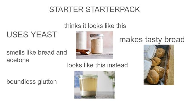 STARTER STARTERPACK thinks it looks like this makes tasty bread USES YEAST smells like bread and acetone looks like this instead boundless glutton