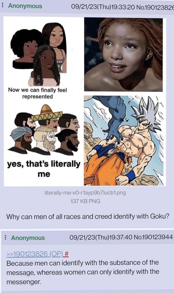Anonymous 09/21/23(Thu)19:33:20 No.19012382 ES Now we can finally feel represented yes, that's literally me literally-me-vo-r1ayp9b7iucb1.png 137 KB PNG Why can men of all races and creed identify with Goku? : Anonymous >>190123826 (OP) # 09/21/23(Thu) 19:37:40 No190123944 Because men can identify with the substance of the message, whereas women can only identify with the messenger.
