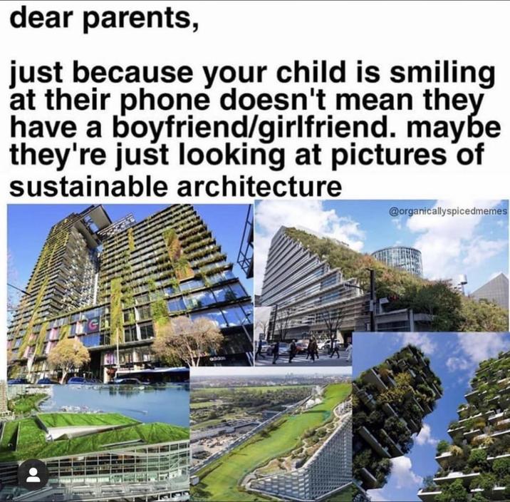 dear parents, just because your child is smiling at their phone doesn't mean they have a boyfriend/girlfriend. maybe they're just looking at pictures of sustainable architecture 6330 @organicallyspicedmemes