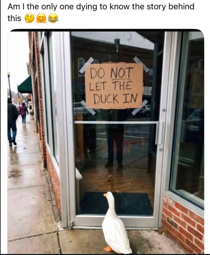 Am I the only one dying to know the story behind this DO NOT LET THE DUCK IN