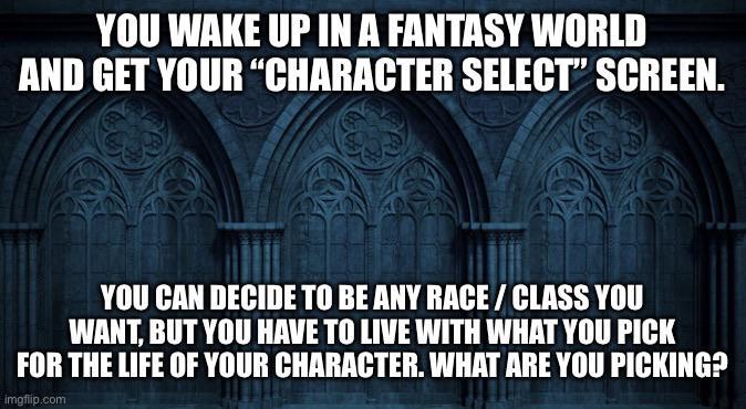 YOU WAKE UP IN A FANTASY WORLD AND GET YOUR "CHARACTER SELECT" SCREEN. YOU CAN DECIDE TO BE ANY RACE/CLASS YOU WANT, BUT YOU HAVE TO LIVE WITH WHAT YOU PICK FOR THE LIFE OF YOUR CHARACTER. WHAT ARE YOU PICKING? imgflip.com