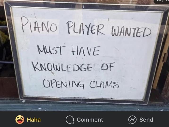 PIANO PLAYER WANTED. MUST HAVE KNOWLEDGE OF OPENING CLAMS Haha Comment Send