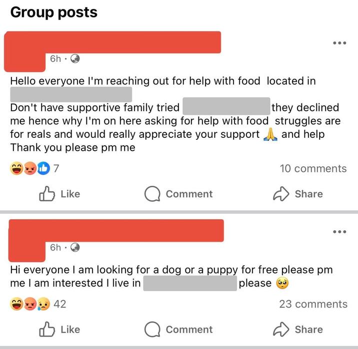Group posts 6h Hello everyone I'm reaching out for help with food located in Don't have supportive family tried me hence why I'm on here asking for help with food for reals and would really appreciate your support Thank you please pm me 7 Like Comment they declined struggles are and help 10 comments Share 6h⚫ Hi everyone I am looking for a dog or a puppy for free please pm me I am interested I live in 22 42 Like Comment • • • please 23 comments Share