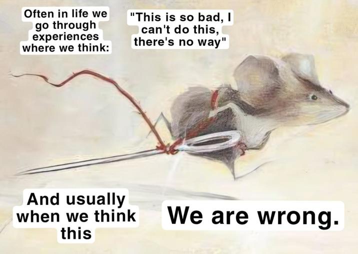 Often in life we go through experiences where we think: "This is so bad, I can't do this, there's no way" And usually when we think this We are wrong.