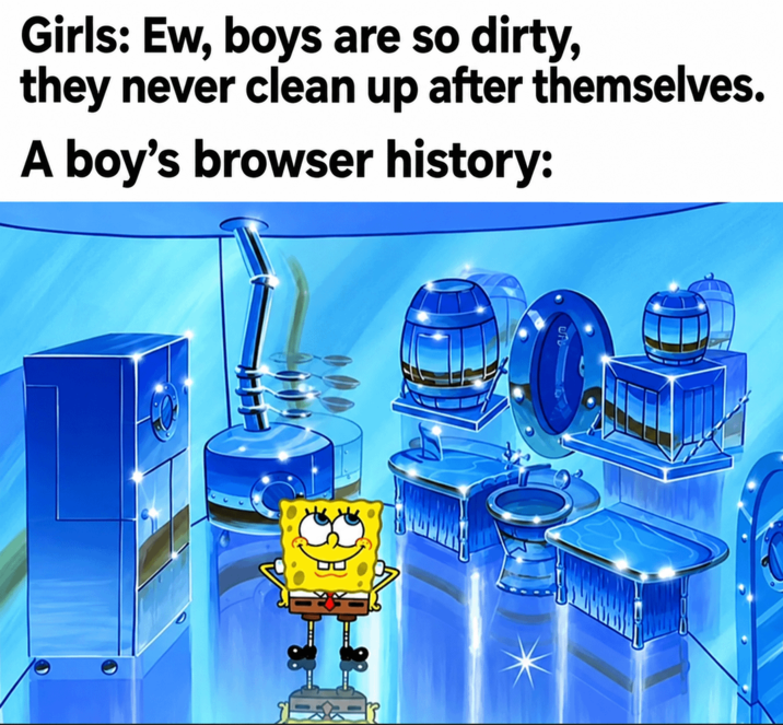 Girls: Ew, boys are so dirty, they never clean up after themselves. A boy's browser history: