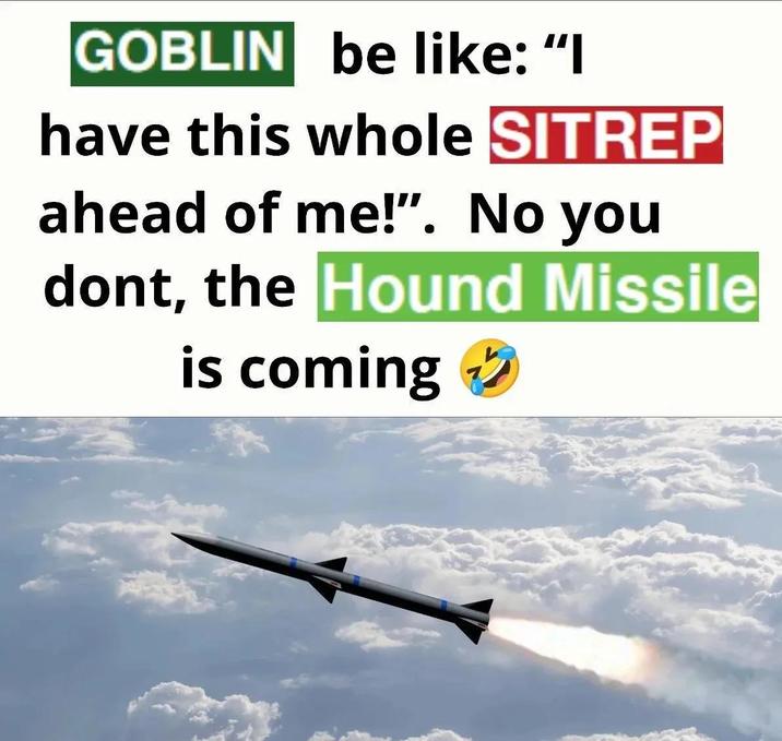 GOBLIN be like: "I have this whole SITREP ahead of me!". No you dont, the Hound Missile is coming →