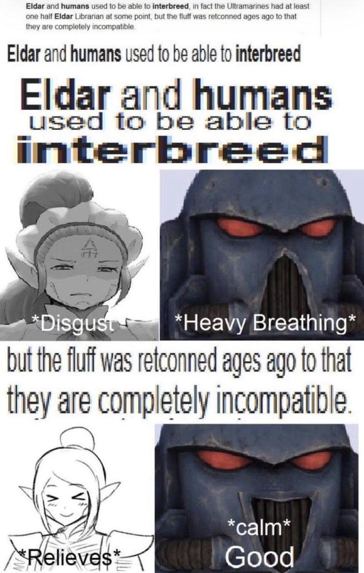 Eldar and humans used to be able to interbreed, in fact the Ultramarines had at least one half Eldar Librarian at some point, but the fluff was retconned ages ago to that they are completely incompatible. Eldar and humans used to be able to interbreed Eldar and humans used to be able to interbreed *Disgust *Heavy Breathing* but the fluff was retconned ages ago to that they are completely incompatible. *calm* *Relieves* Good
