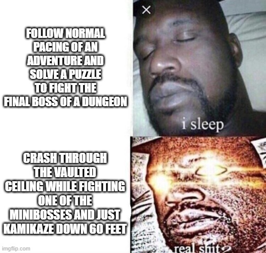 FOLLOW NORMAL PACING OF AN ADVENTURE AND SOLVE A PUZZLE TO FIGHT THE FINAL BOSS OF A DUNGEON × CRASH THROUGH THE VAULTED CEILING WHILE FIGHTING ONE OF THE MINIBOSSES AND JUST KAMIKAZE DOWN GO FEET imgflip.com i sleep real s---