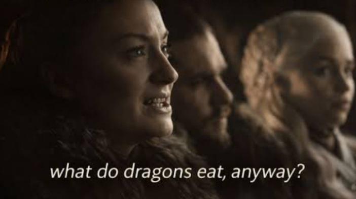 what do dragons eat, anyway?