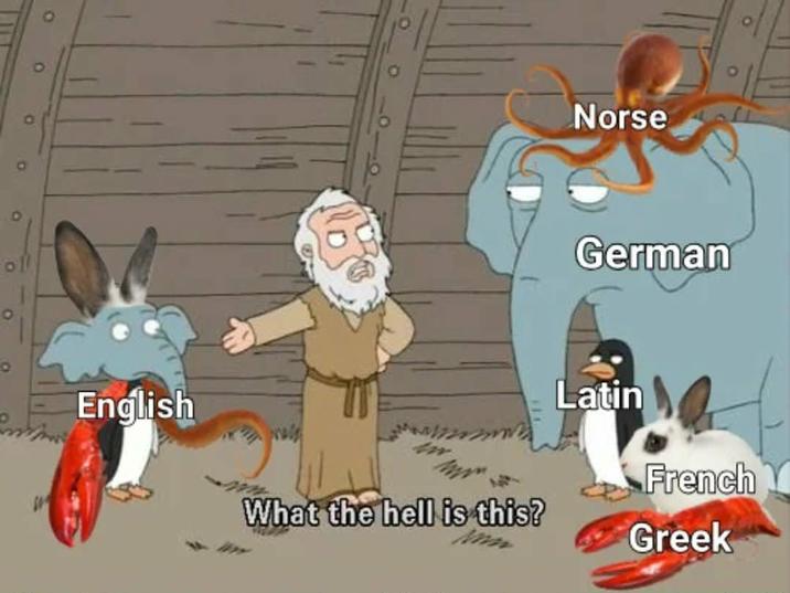 O 0 9 of English Norse German Latin French What the hell is this? Greek