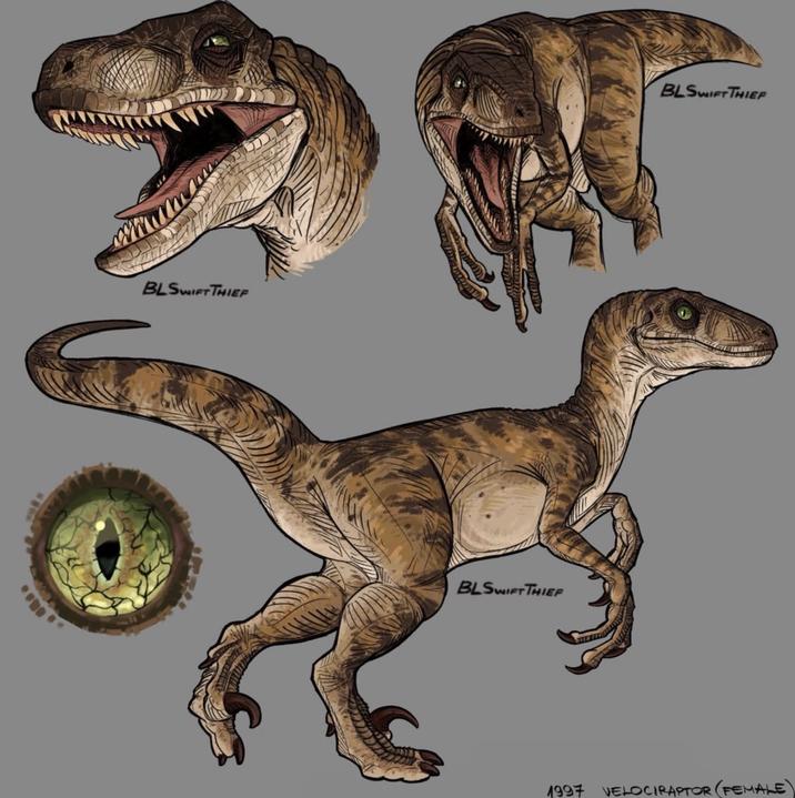 BLSWIFT THIEF BLSWIFT THIEF BLSWIFT THIEF 1997 VELOCIRAPTOR (FEMALE)