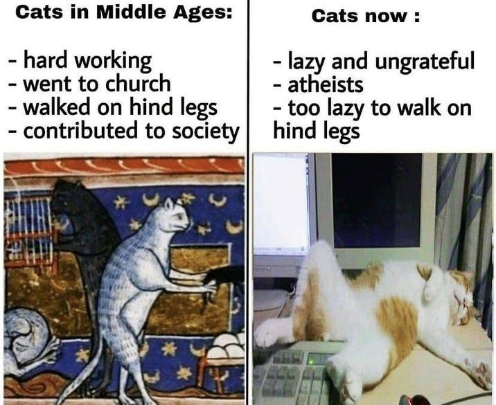 Cats in Middle Ages: - hard working - went to church - walked on hind legs contributed to society - Cats now: - lazy and ungrateful - atheists - too lazy to walk on hind legs