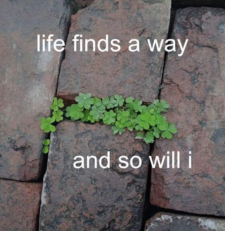 life finds a way and so will i