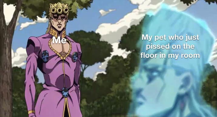 OOO Me My pet who just p----- on the floor in my room