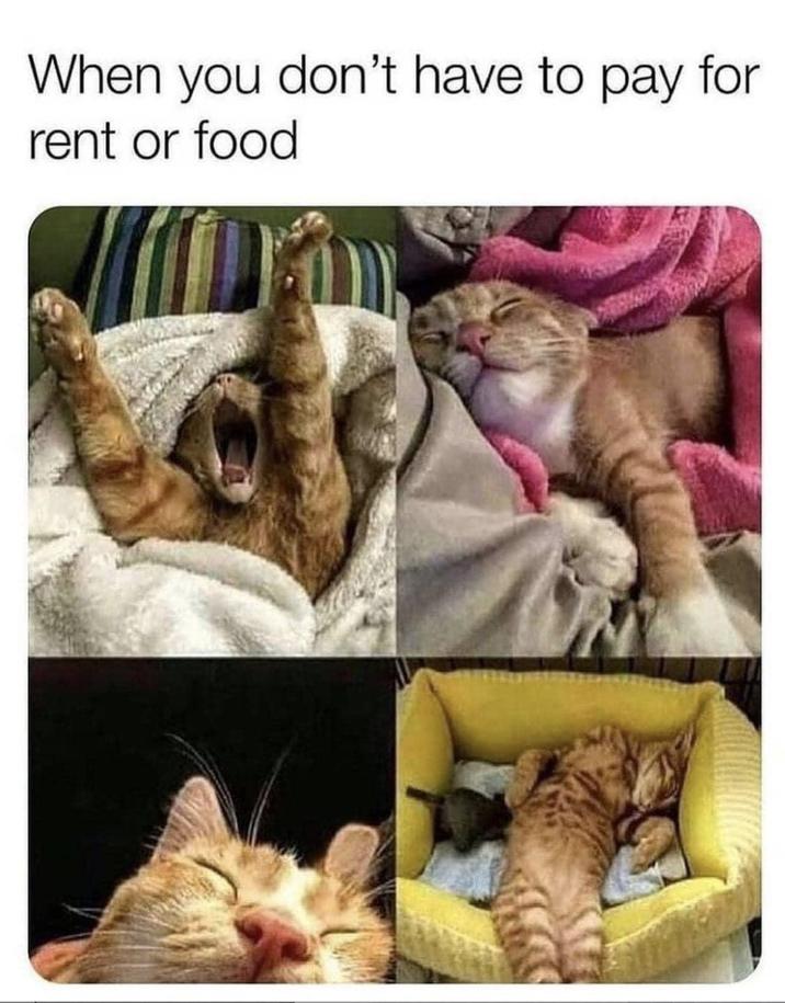 When you don't have to pay for rent or food