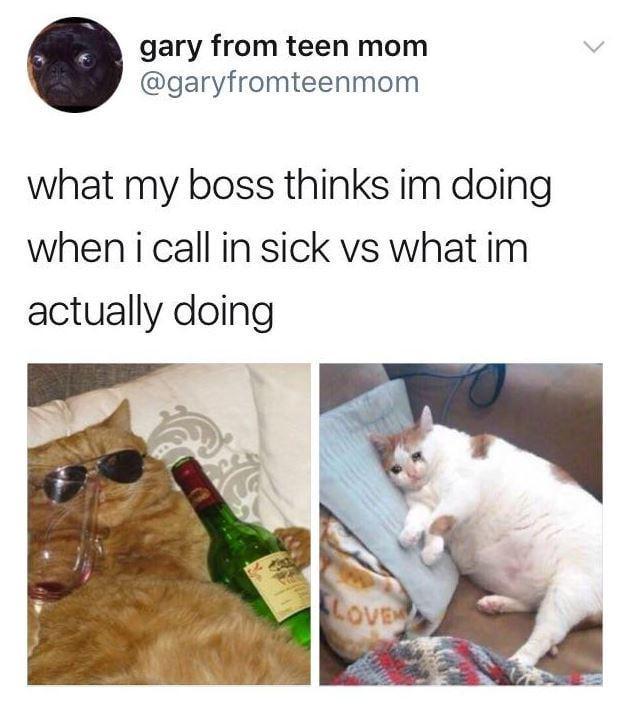 gary from teen mom @garyfromteenmom what my boss thinks im doing when i call in sick vs what im actually doing LOVE